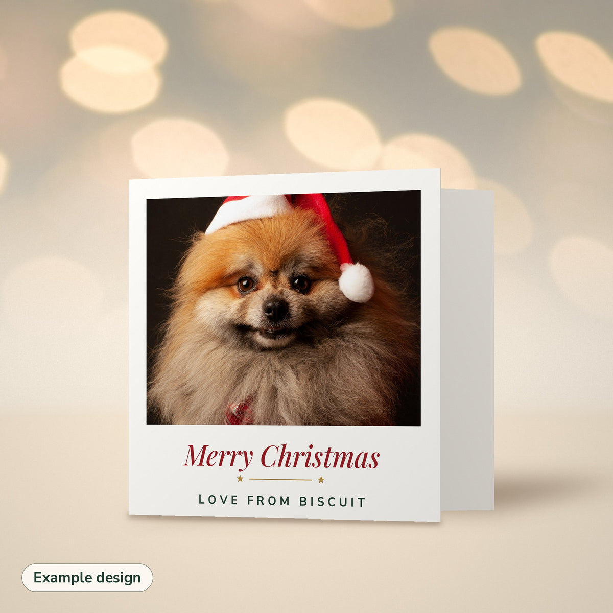Personalised Christmas Cards from the Dog