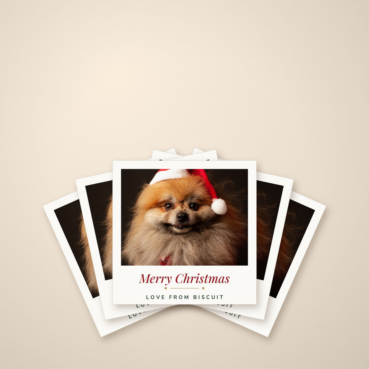 Personalised Christmas Cards from the Dog