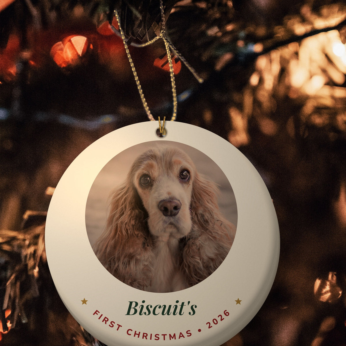 Biscuit's personalised photo ornament hanging on a Christmas tree