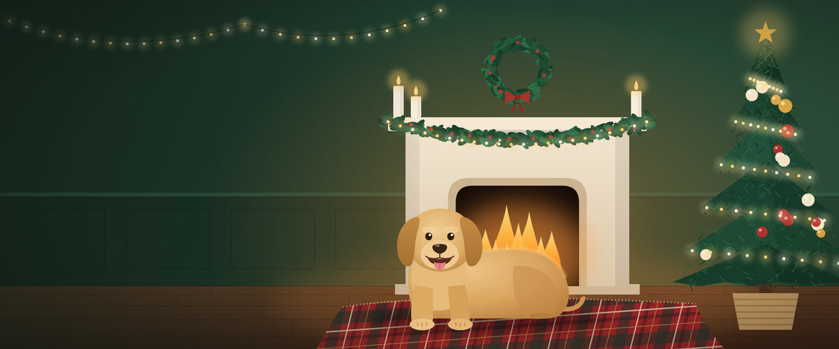 Personalised Christmas Cards from the Dog