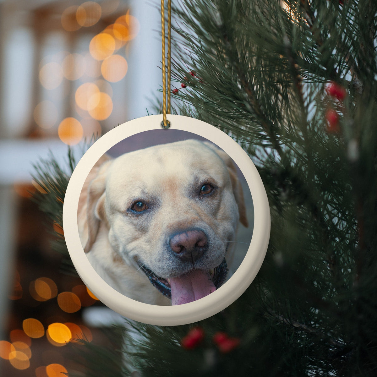 Personalised photo ornament hanging on a Christmas tree with a Labrador